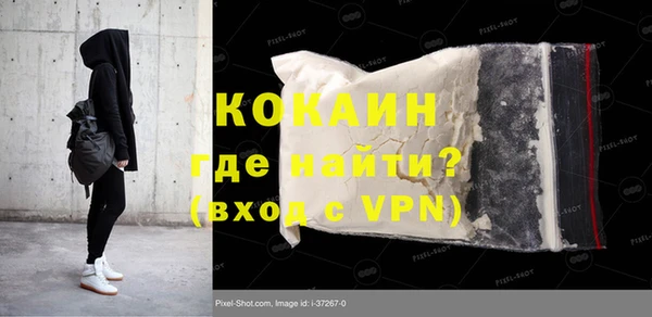 гидра Арсеньев