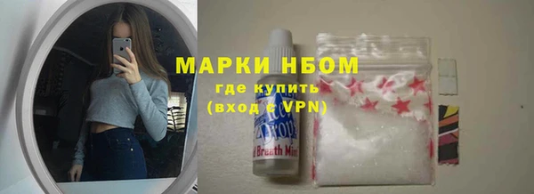 гидра Арсеньев