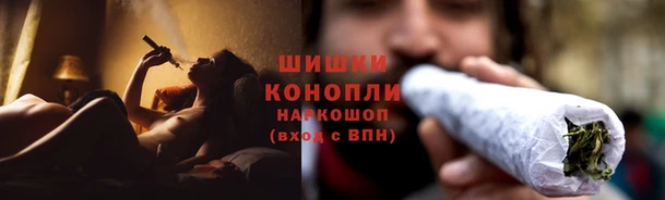гидра Арсеньев