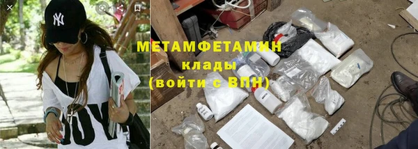 гидра Арсеньев