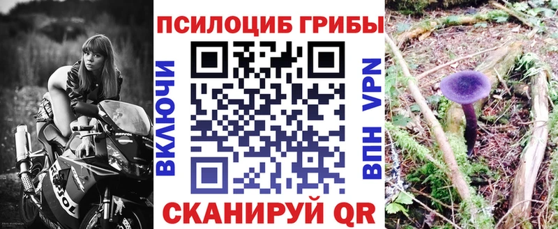 Псилоцибиновые грибы Psilocybe  цены   Окуловка 
